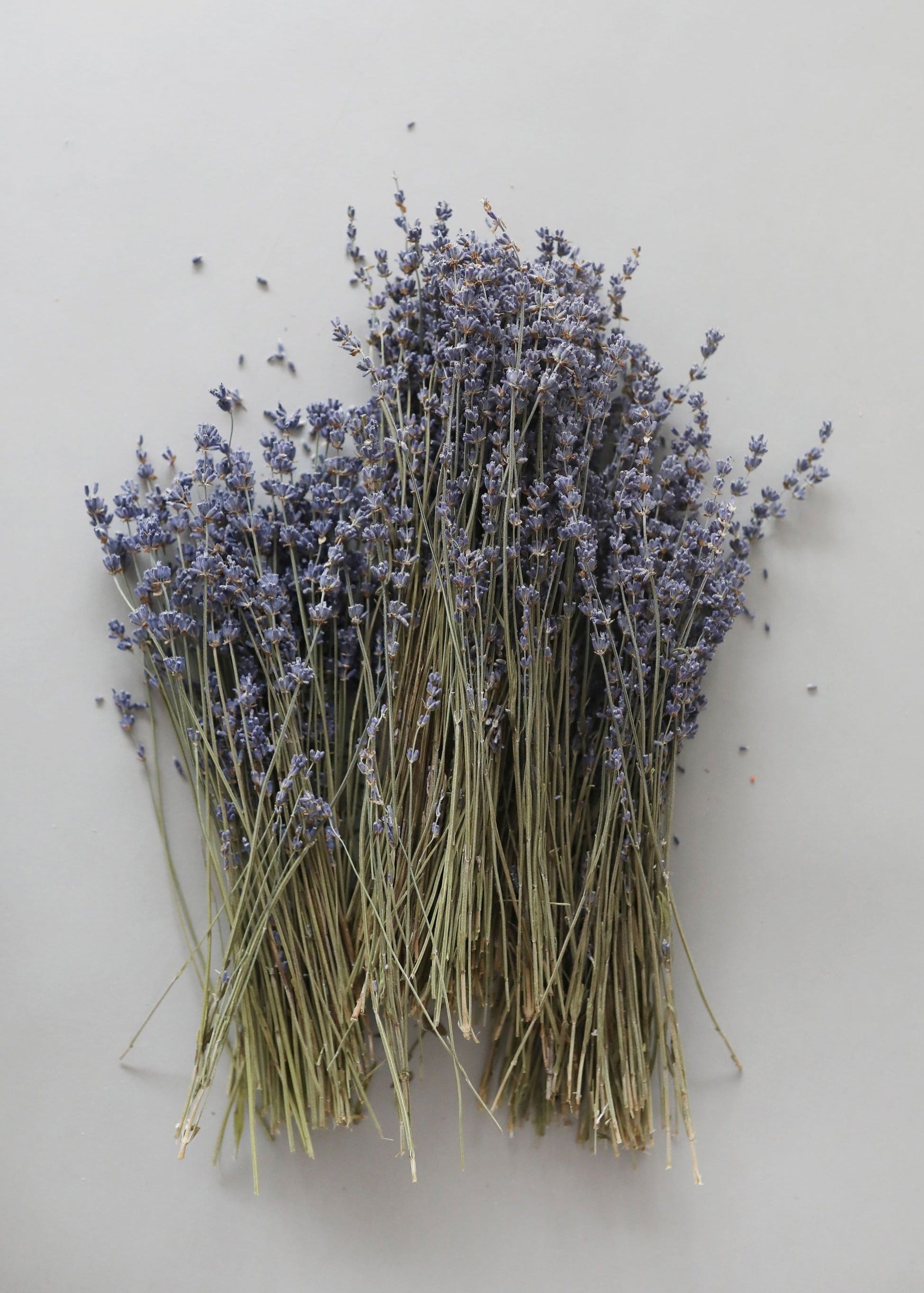 Natural Fragrant Dried Lavender Bundle - 6 or 14 Stems | Aromatherapy, Home Decor & DIY Crafts | Perfect for Relaxation, Wedding Decor & Gift Giving