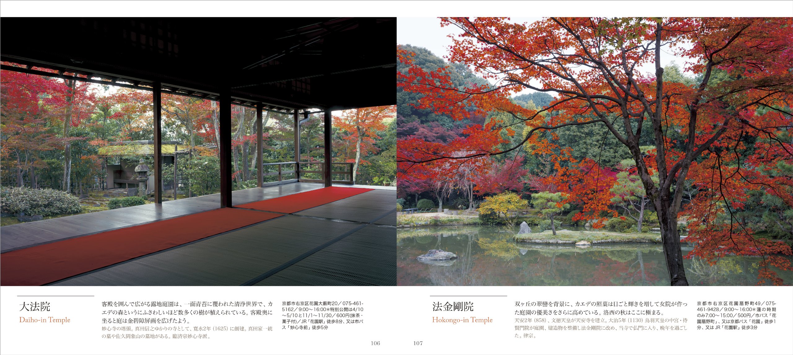 Kyoto Maple Walk Book - Scenic Travel Guide for Nature Lovers