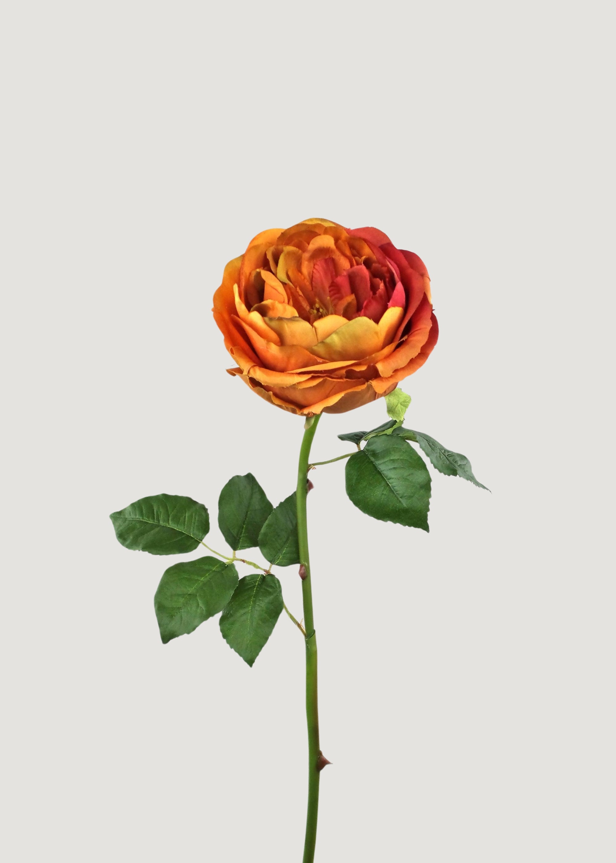 22.75 Inch Burnt Orange Artificial Rose - Realistic Silk Flower for Home Decor, Wedding Centerpieces & DIY Crafts