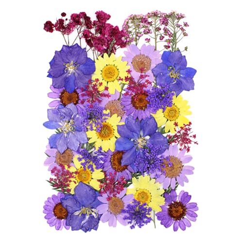 Riotous Purple