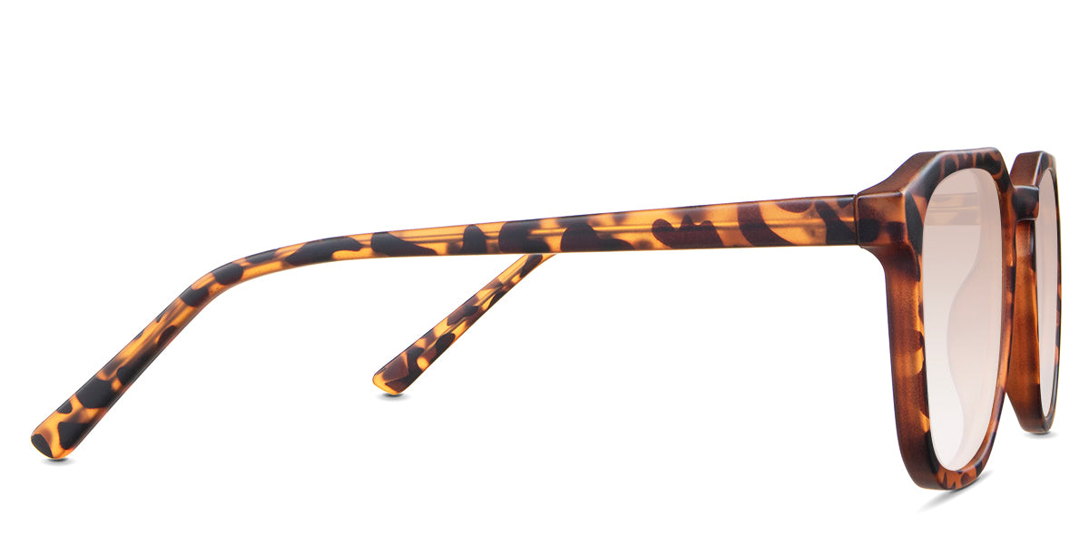 Reign Women's Prescription Tinted Glasses - Fashionable Eyewear for Women with Vision Correction | Perfect for Reading, Driving & Outdoor Activities