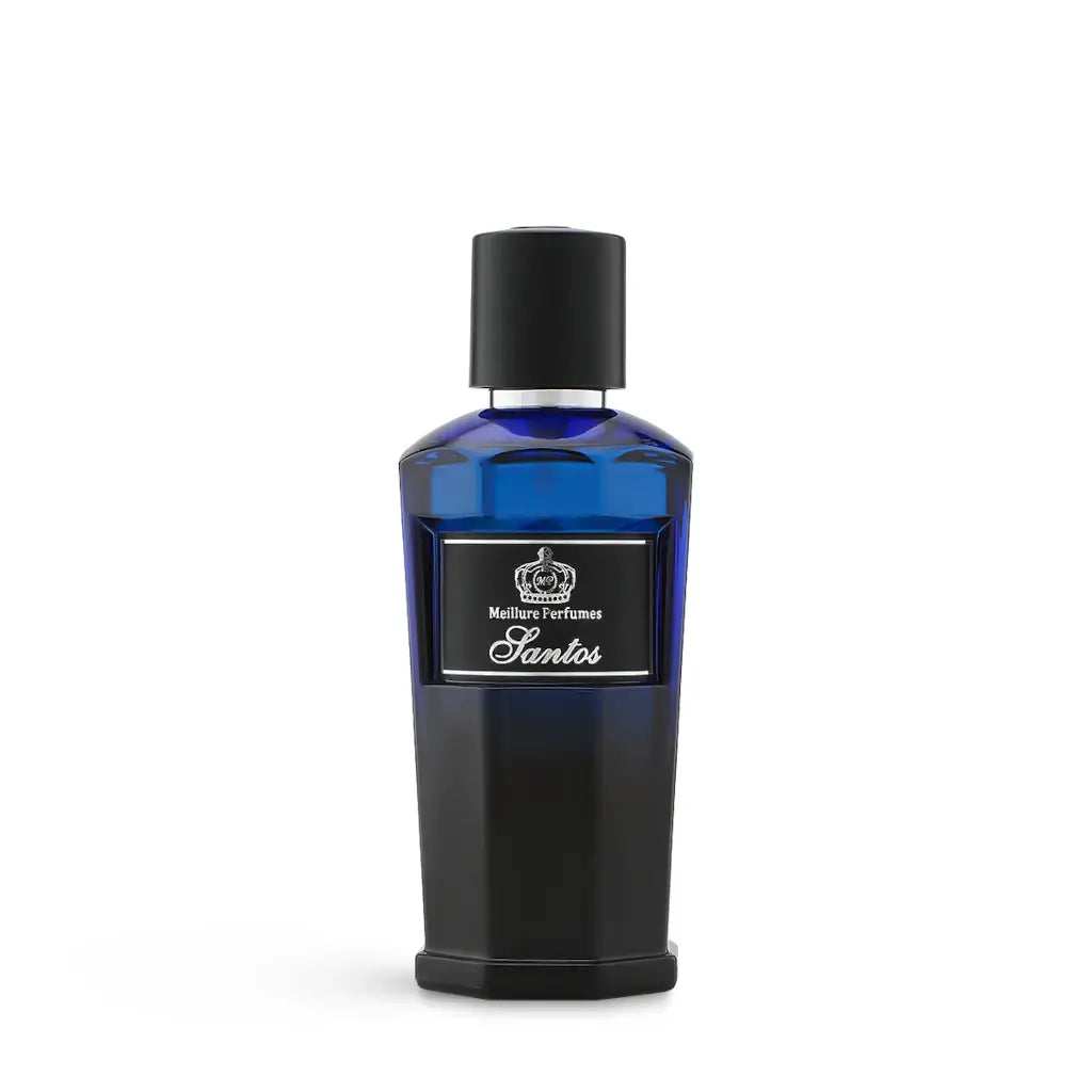 Santos Blue Eau de Parfum for Women - 3.4 oz / 100ml Floral Fruity Fragrance - Perfect for Date Night, Office & Special Occasions