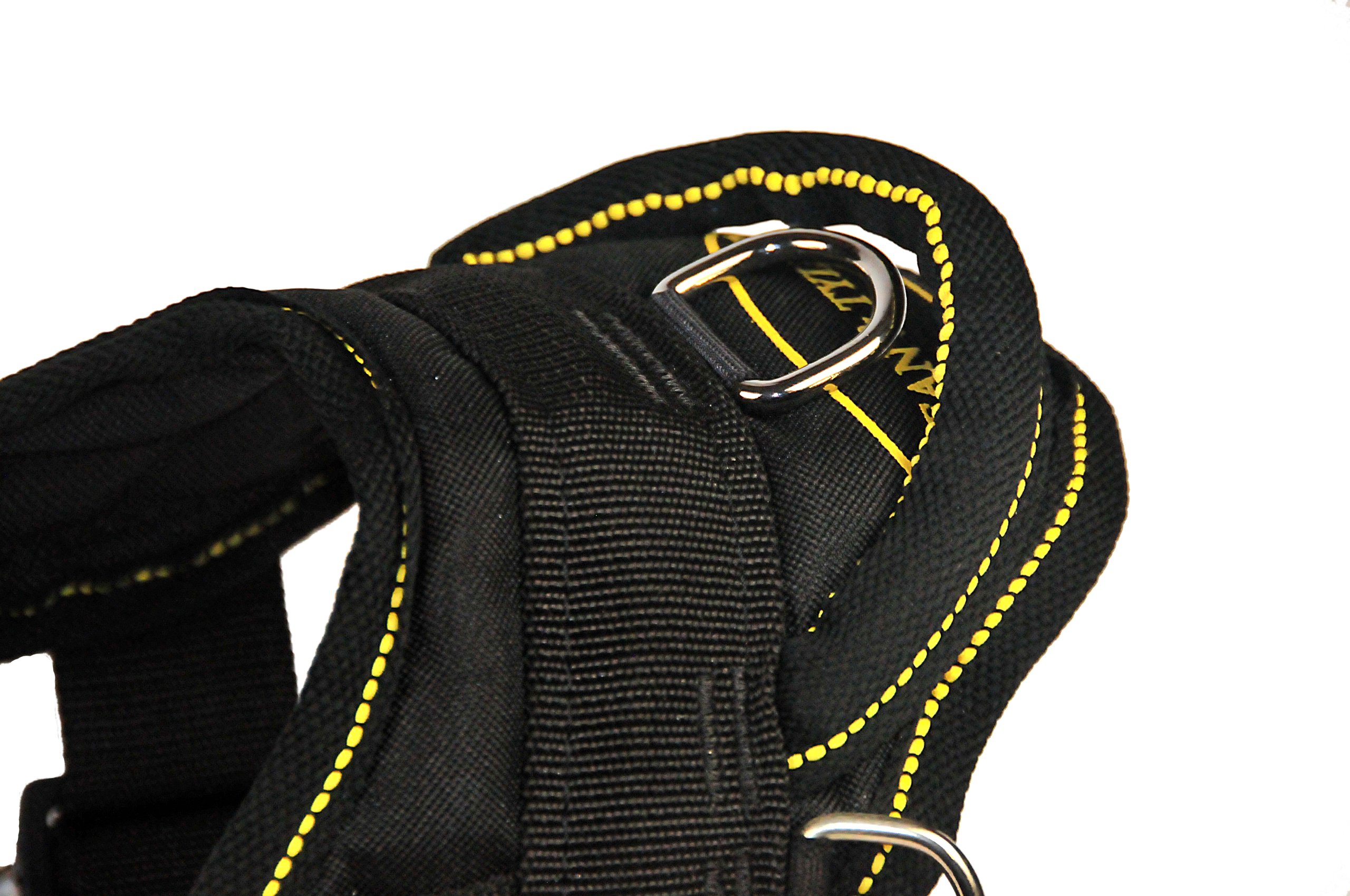 Dean and Tyler DT Reflective Dog Harness - X-Small (20-23 Inch Girth) Adjustable No-Pull Vest for Small Dogs - Black with Yellow Trim - Perfect for Walking, Running & Outdoor Adventures