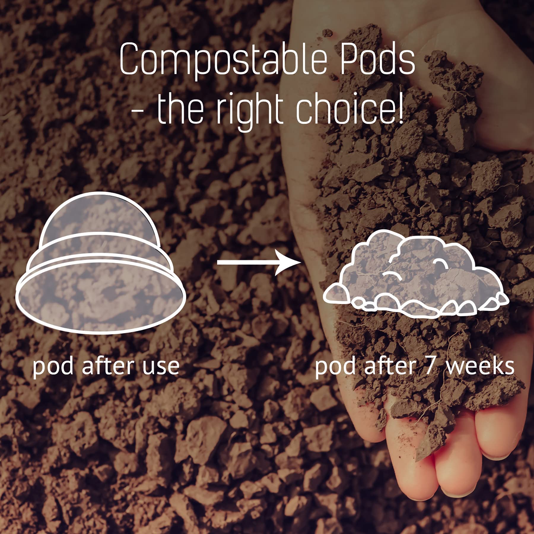 GLORYBREW 36 Compostable Coffee Pods for Keurig - Medium Roast Rainforest Certified | Perfect for Home & Office Brewing