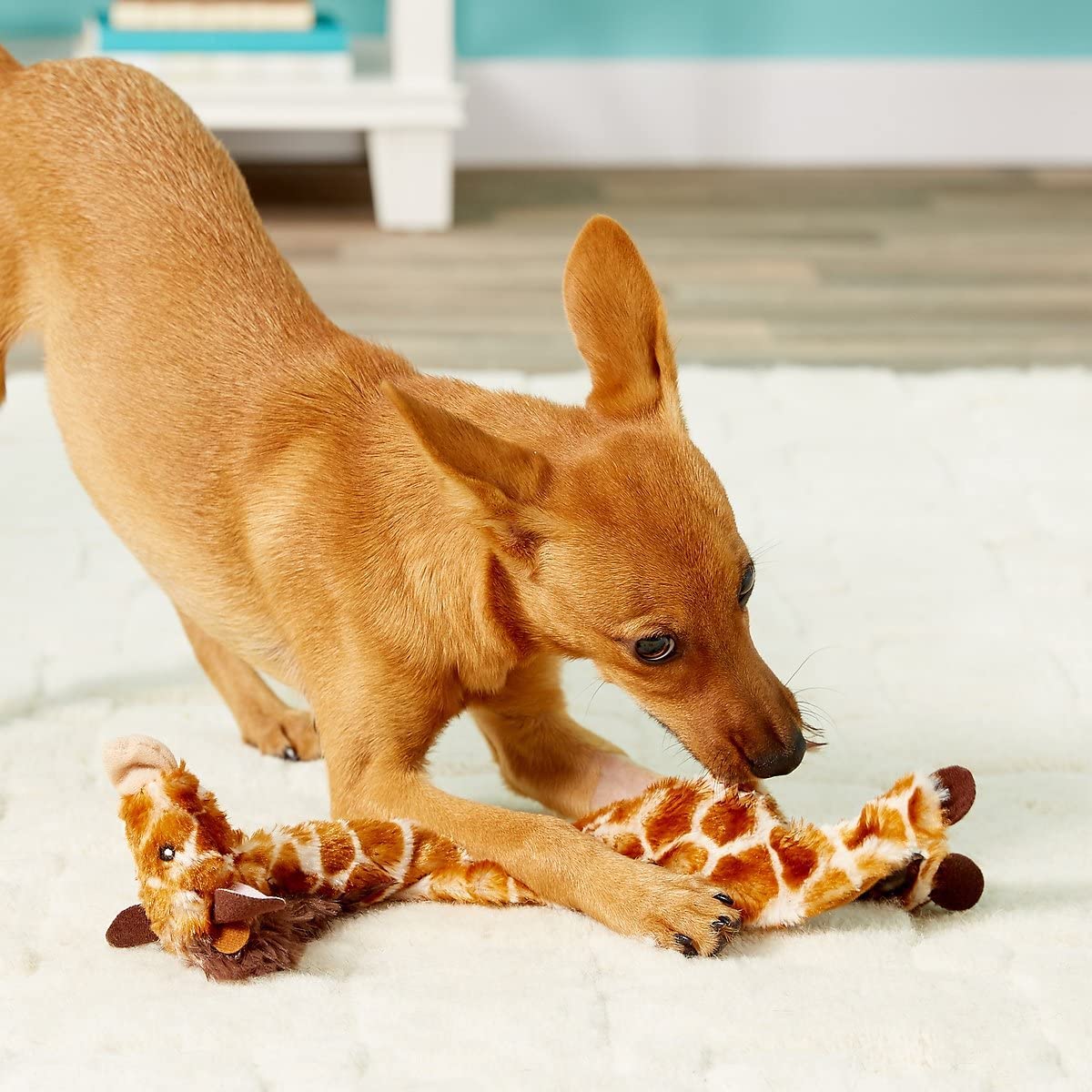 SPOT Mini Skinneeez Stuffless Dog Toy with Squeaker - Soft Plush Giraffe Tug of War Squeak Toy for Small & Large Dogs | Interactive Chew Toy for Puppies & Adult Dogs | Perfect for Indoor Play, Training & Bonding Time