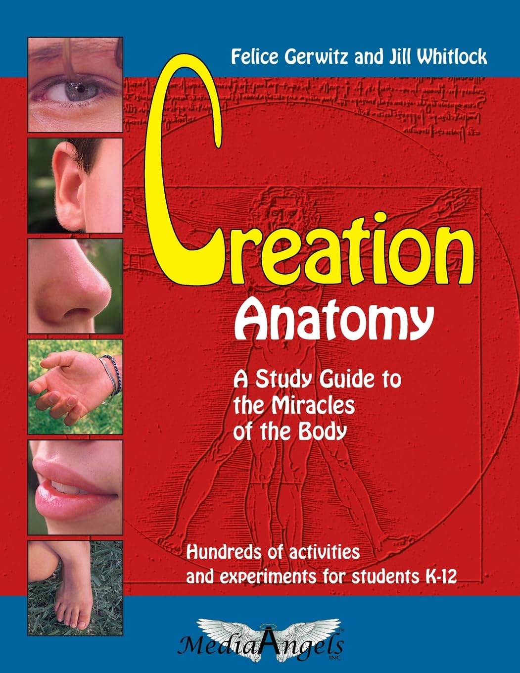 Creation Anatomy: A Comprehensive Study Guide to Human Body Miracles - Perfect for Medical Students & Biology Enthusiasts