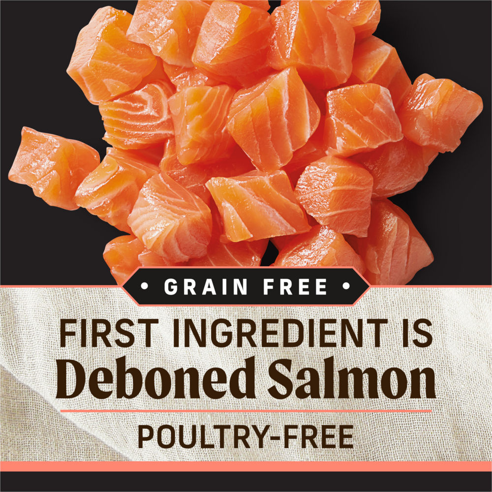 Merrick Backcountry Grain Free Dry Adult Dog Food with Freeze Dried Raw Pieces - Pacific Catch Salmon Recipe - High Protein Kibble for Active Dogs, Outdoor Adventures & Daily Nutrition