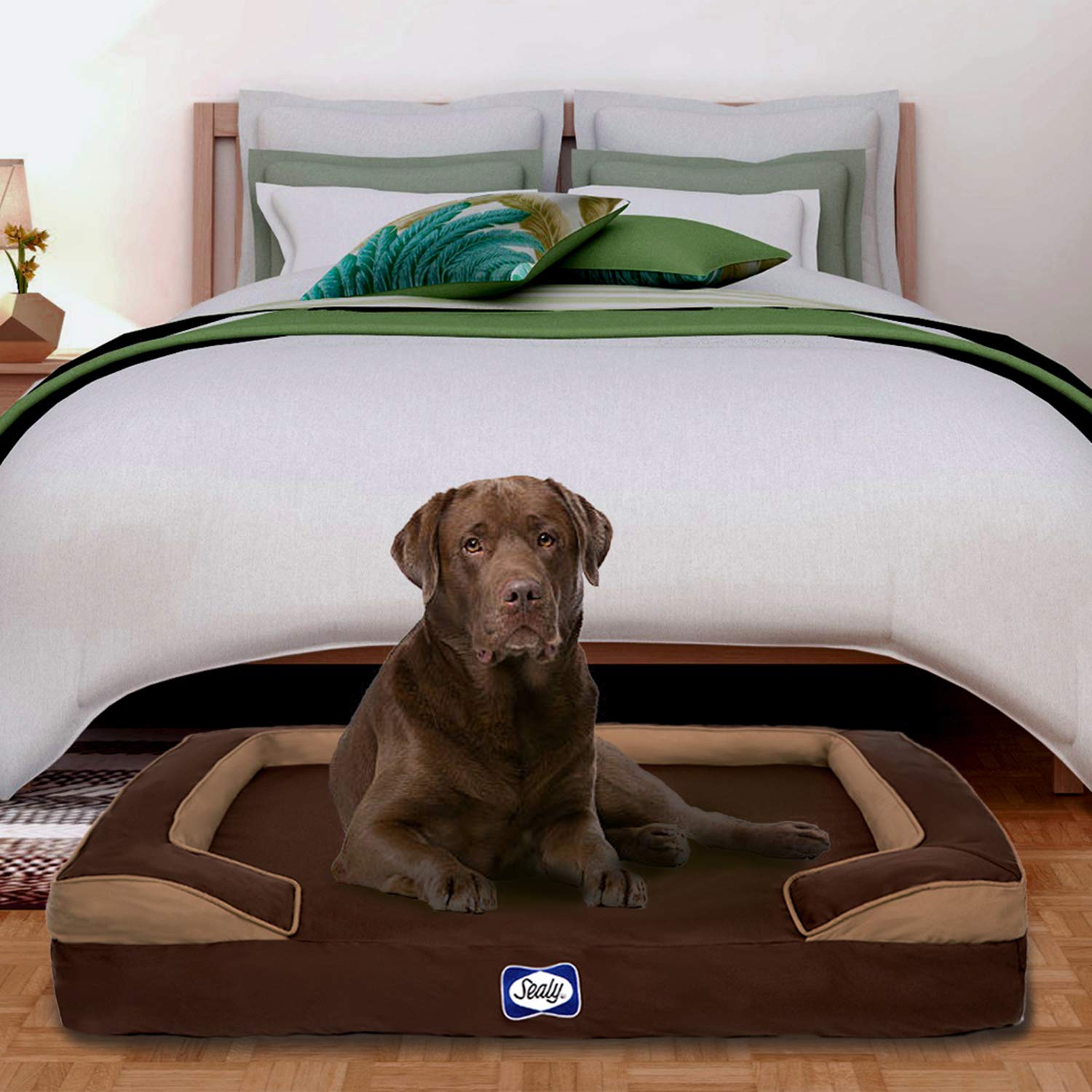 Sealy Dog Bed Embrace - Orthopedic Memory Foam Pet Bed for Large Dogs, Extra Large Size, Brown (94499) - Perfect for Supportive Sleep & Joint Pain Relief in Living Room or Bedroom