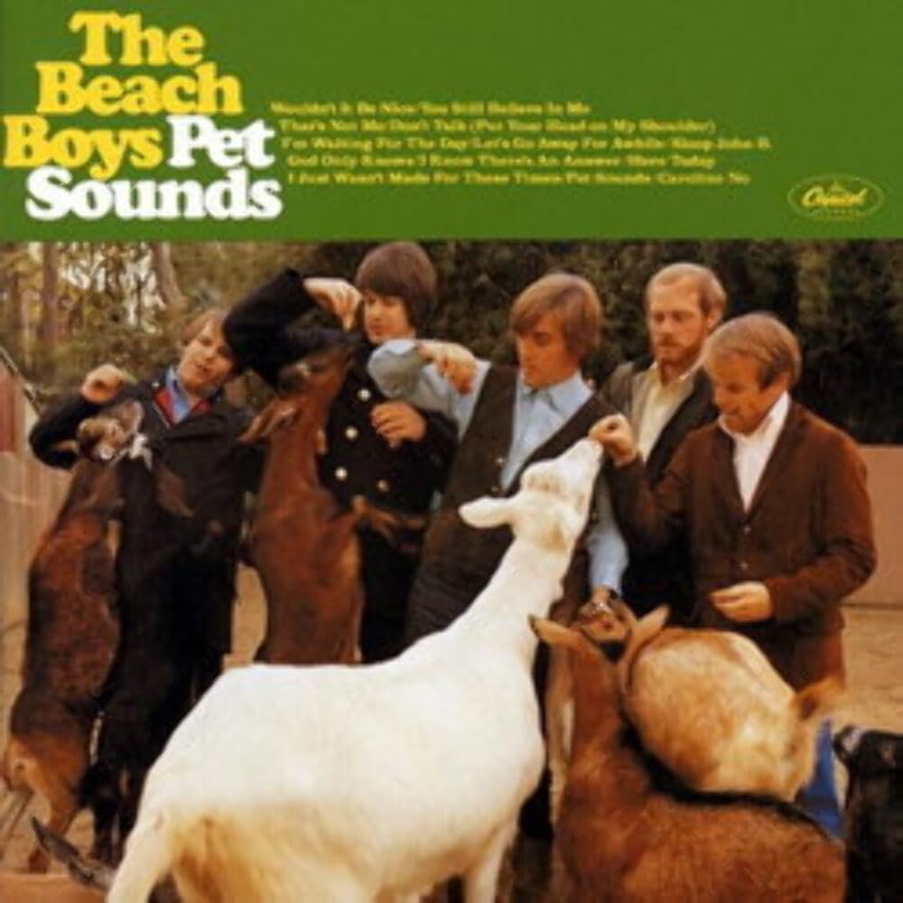 Pet Sounds - Calming Music for Dogs & Cats - Reduce Anxiety & Stress - Perfect for Vet Visits, Thunderstorms & Separation