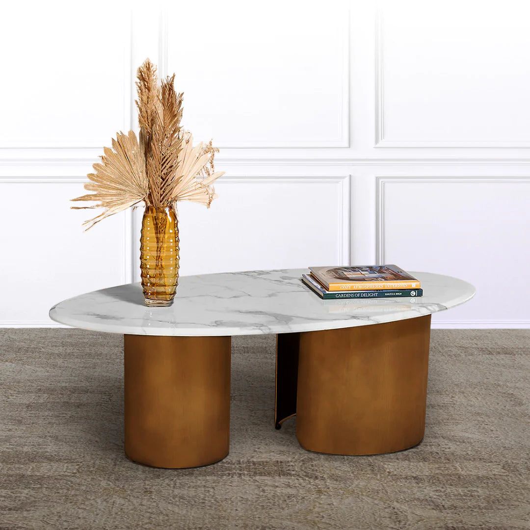 Elysian Essence Stainless Steel Coffee Table for Living Room - Modern Center Table with Tempered Glass Top - Perfect for Home Decor, Lounge, and Entertainment Areas
