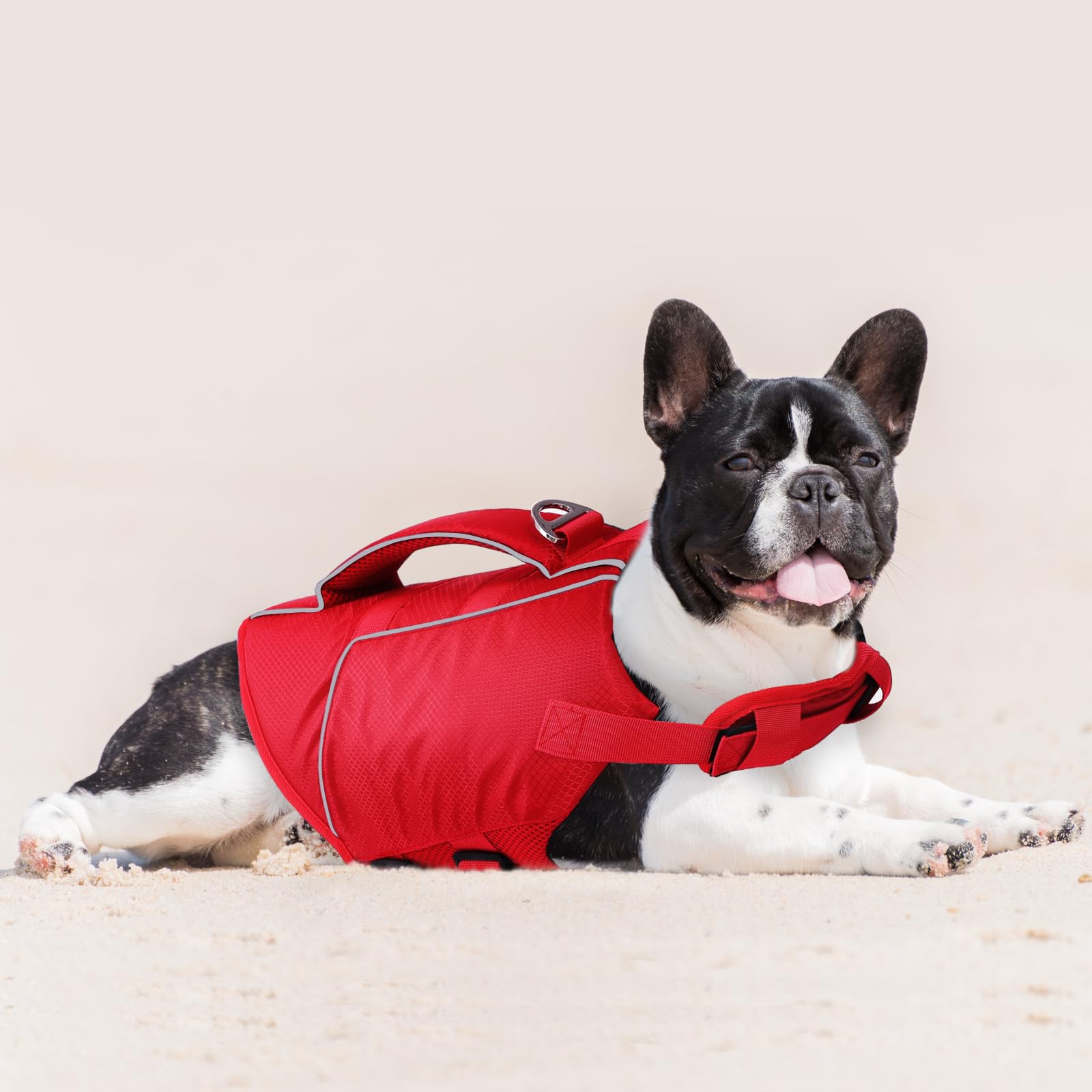 ASENKU Lightweight Dog Life Jacket - High Flotation Pet Vest for Swimming, Boating & Water Safety - Adjustable Fit for Small, Medium & Large Dogs - Perfect for Pool, Beach & Outdoor Water Activities