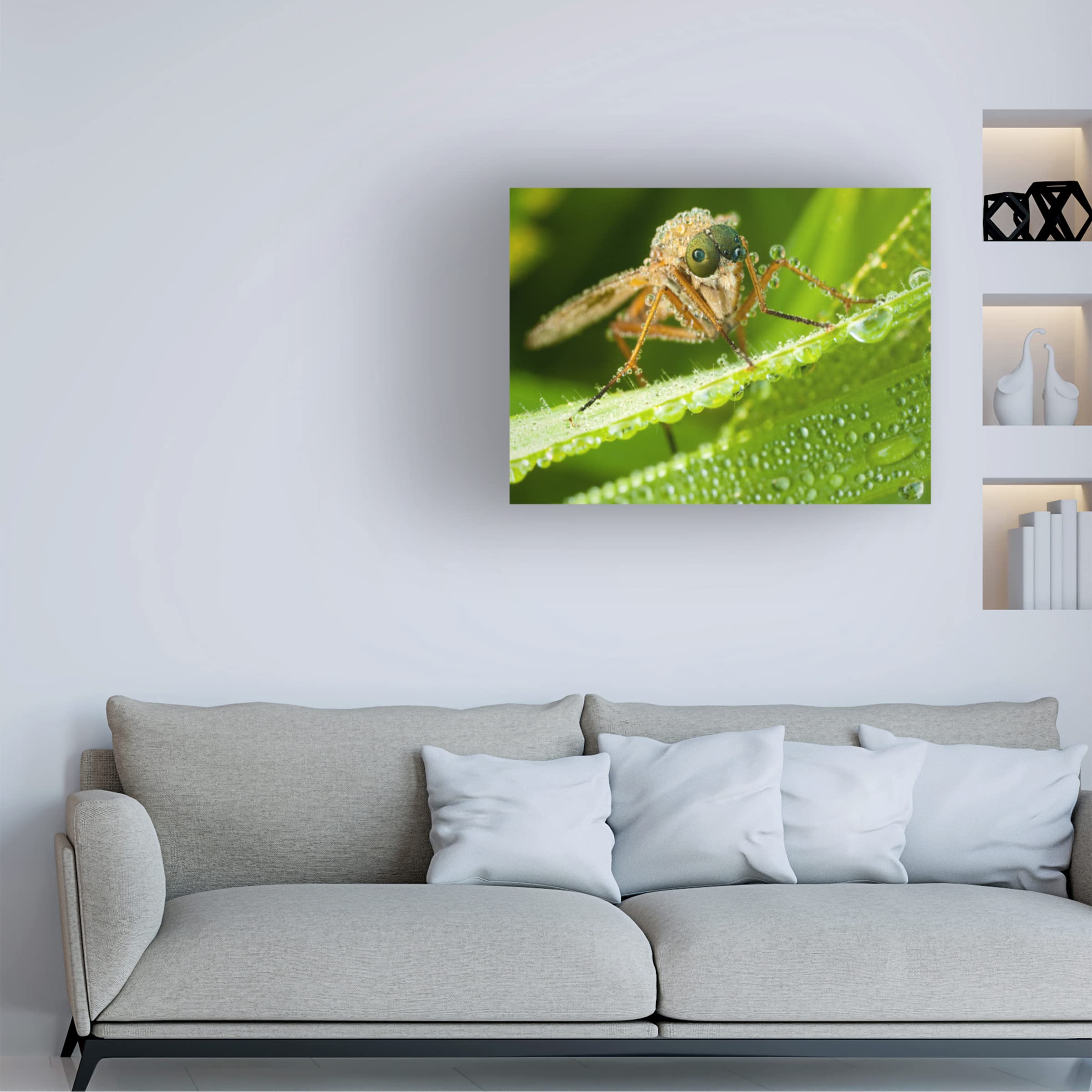 Trademark Fine Art 'Alien' Canvas Print by Robert Adamec - Sci-Fi Wall Decor for Living Room, Bedroom & Office