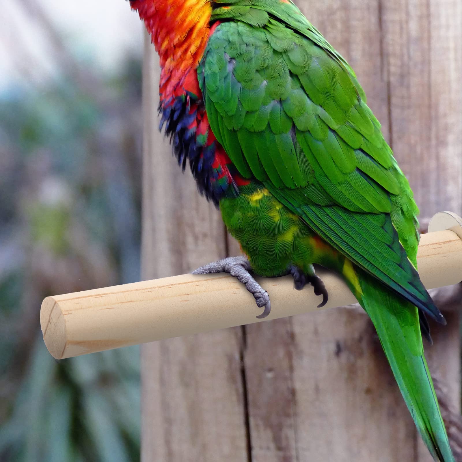 LOGOFUN 4 Pack Natural Wood Bird Perches - Parrot Stand Sticks & Platform for Cage Accessories - Perfect for Climbing, Playing & Resting in Bird Cages