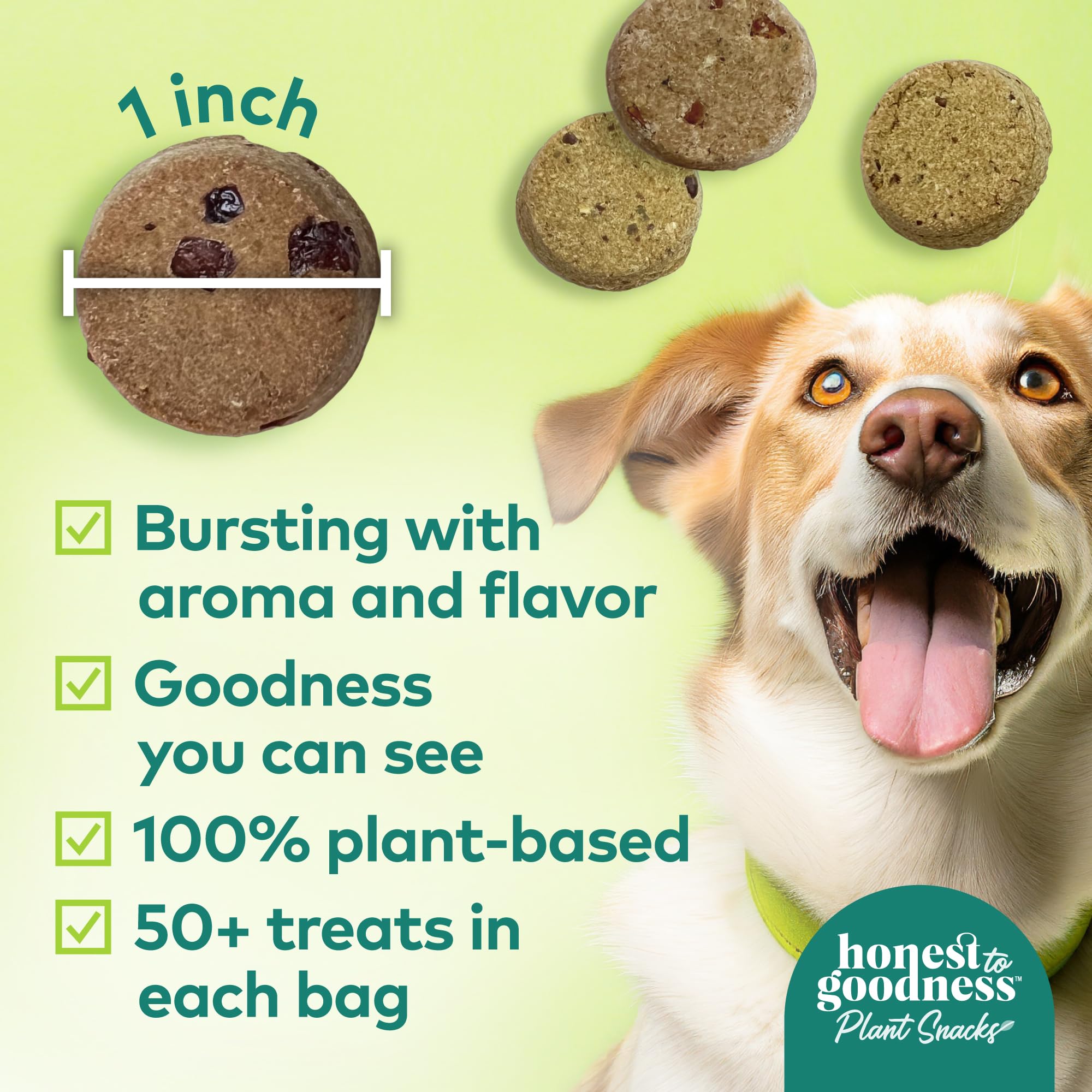 Honest to Goodness Plant-Based Dog Treats with Omega 3 & Postbiotics - 8oz Variety Pack (4 Bags) | Healthy Vegan Snacks for Training, Rewards & Digestive Health