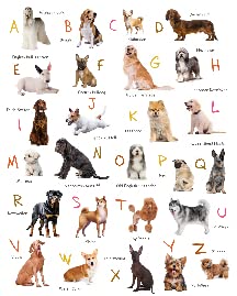 Dog Alphabet Print