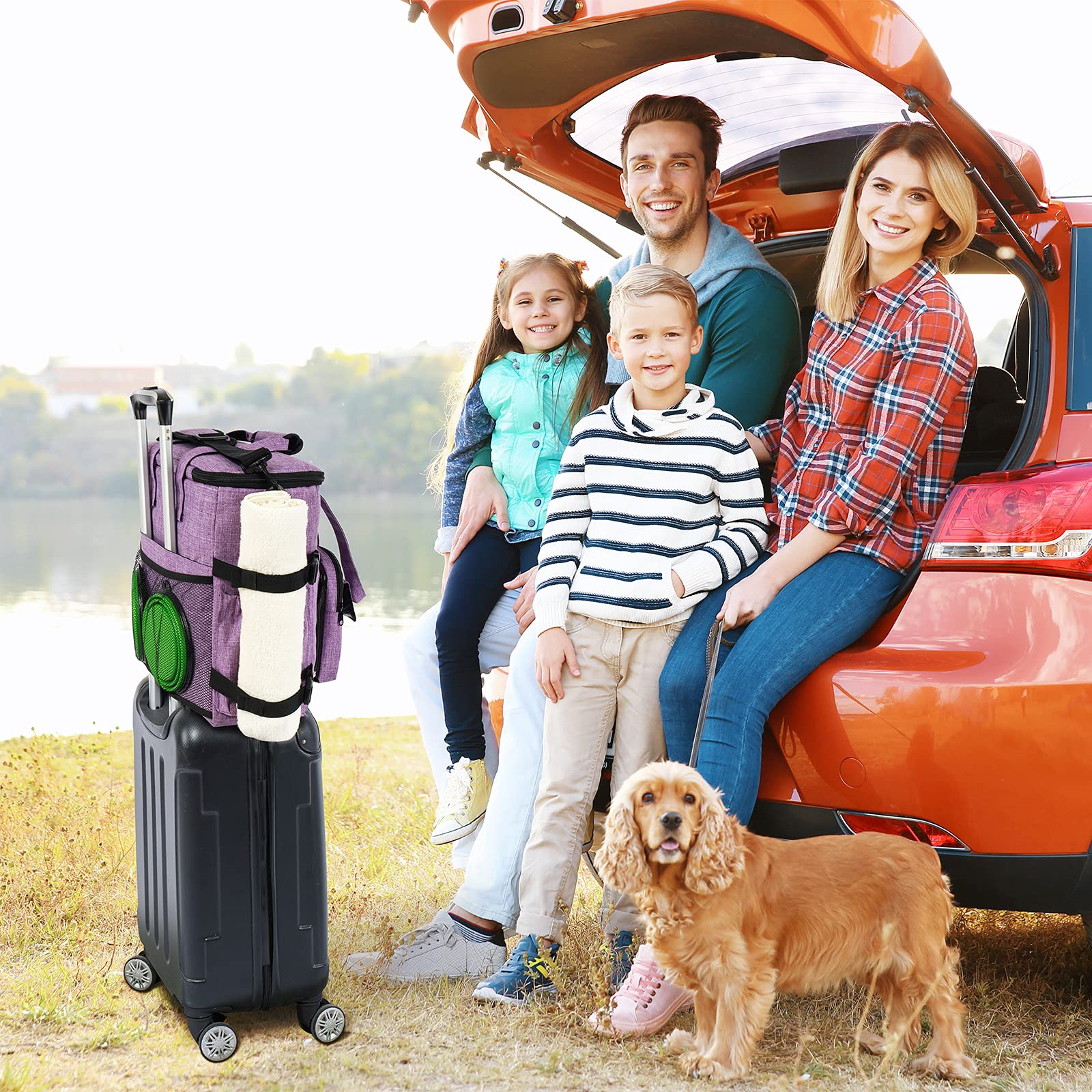 Modoker Airline Approved Pet Travel Bag - Dog & Cat Carrier with 2 Collapsible Bowls & Food Containers - Purple Travel Organizer for Supplies & Accessories | Perfect for Air Travel, Road Trips & Vet Visits