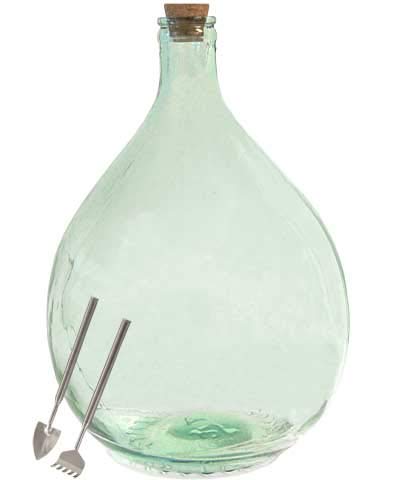 BestNest Esschert Design Glass Terrarium Kit with Tools - Medium Green Planter for Succulents, Air Plants & Home Decor | Indoor Gardening & Office Desk Decor