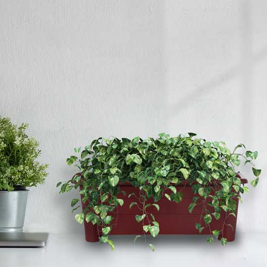 Small Garden Pot RT (GP 2936) - Perfect for Indoor Plants, Succulents, and Home Decor