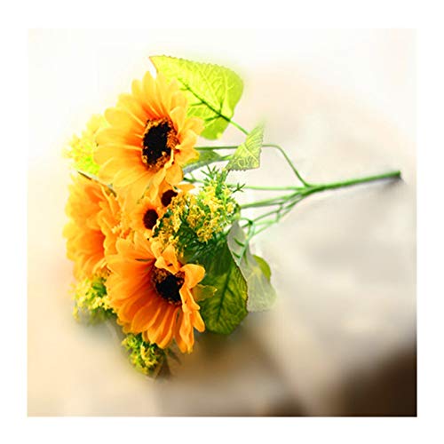 7 Head Sunflower
