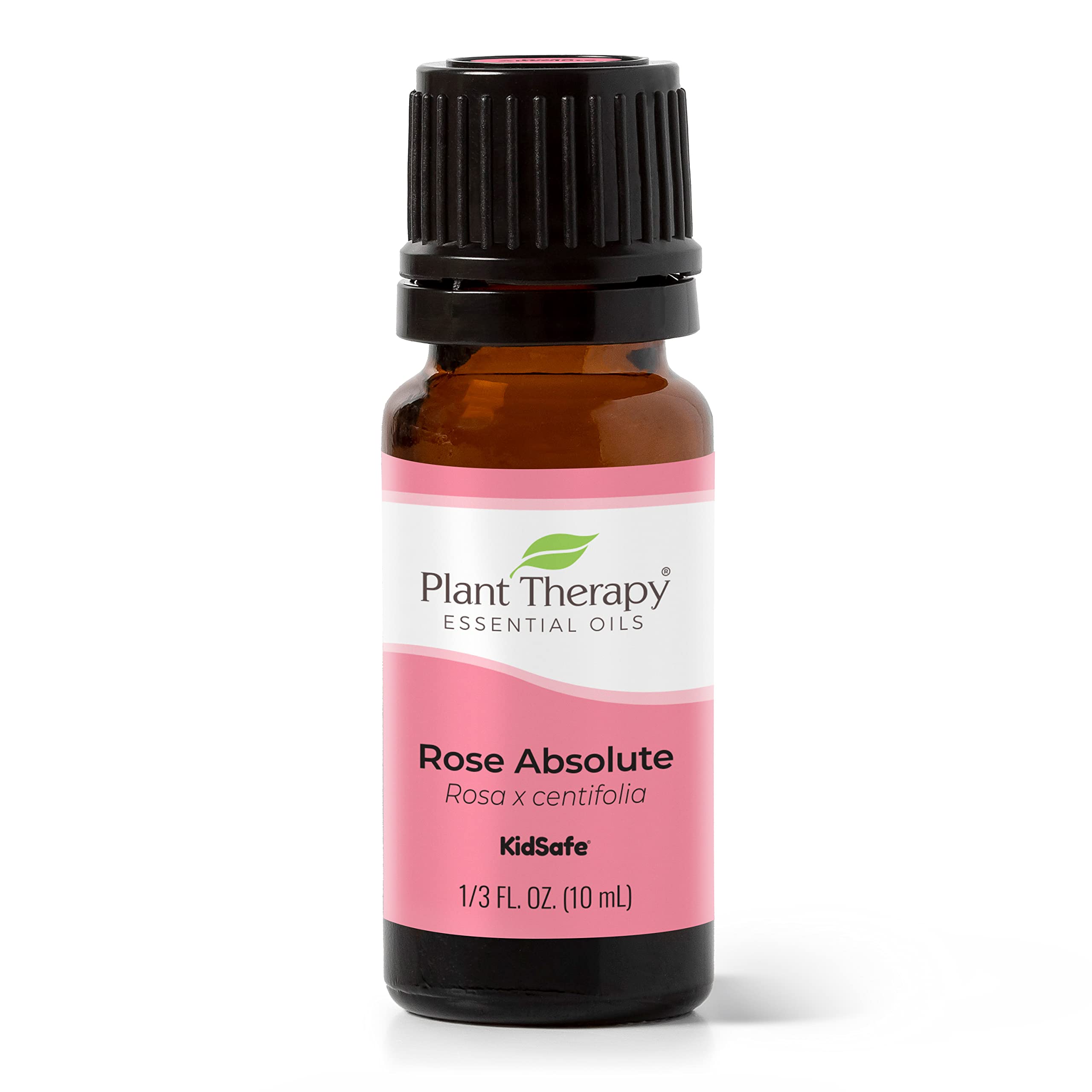 Plant Therapy Rose Absolute Essential Oil 100% Pure & Undiluted - Natural Aromatherapy Oil for Relaxation, Skin Care & Diffuser - Therapeutic Grade 10 mL (1/3 oz) for Home Spa, Massage & DIY Beauty Products