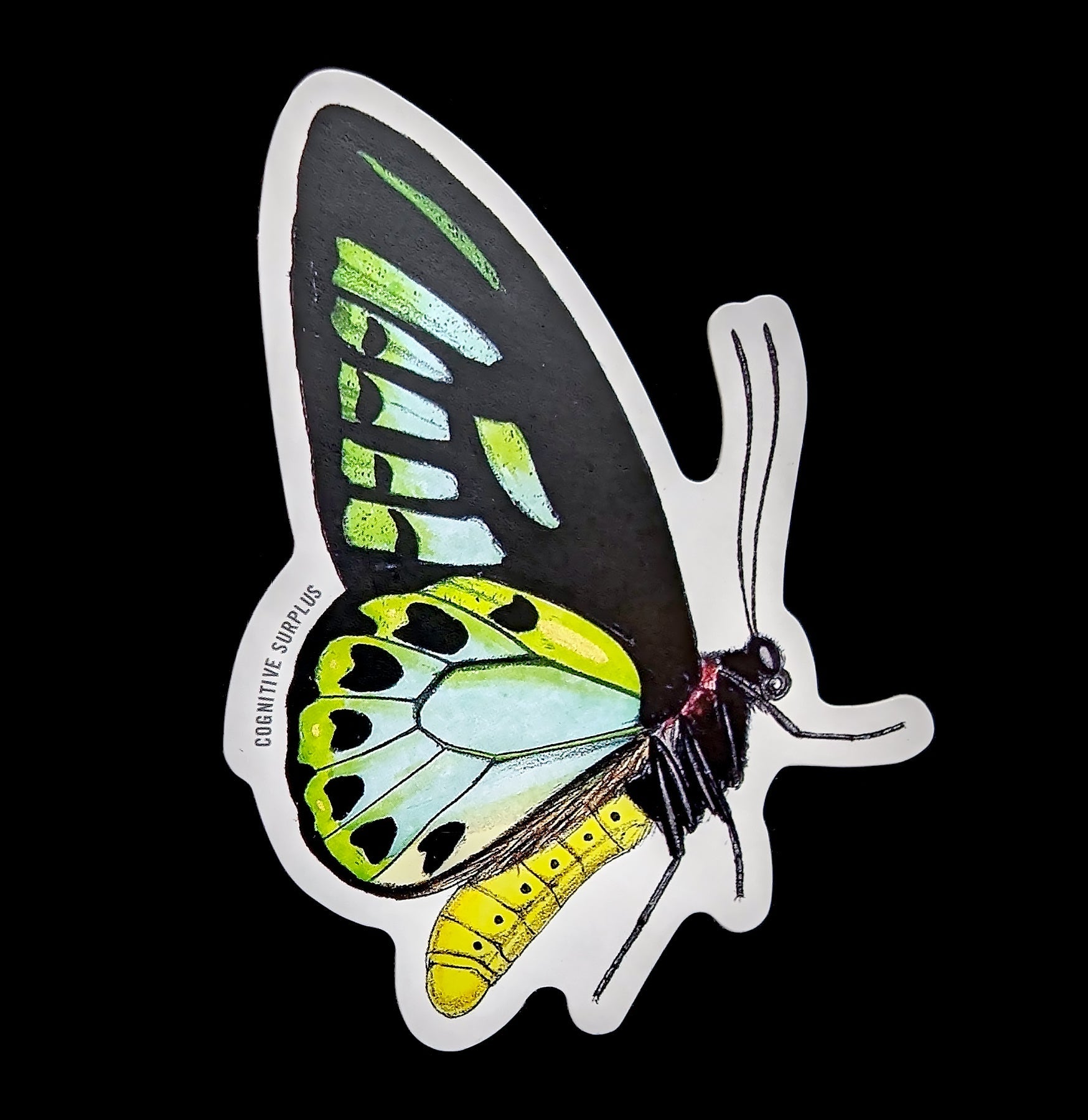 Beautiful Papilio Butterfly Stickers - Waterproof Vinyl Decals for Laptops, Scrapbooks & DIY Crafts - Perfect for Home Decor, Gift Wrapping & Party Favors