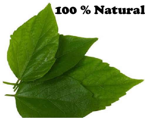 Organic Hibiscus Leaf Powder for Hair Growth & Care - 100g | Natural Hair Treatment for Stronger, Shinier Locks | DIY Hair Masks & Scalp Treatments