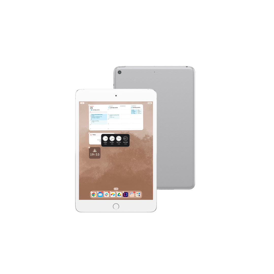Apple iPad Mini 5 (7.9-inch, WiFi, 64GB/256GB) - A8 Chip, Retina Display - Perfect for Travel, Work & Entertainment