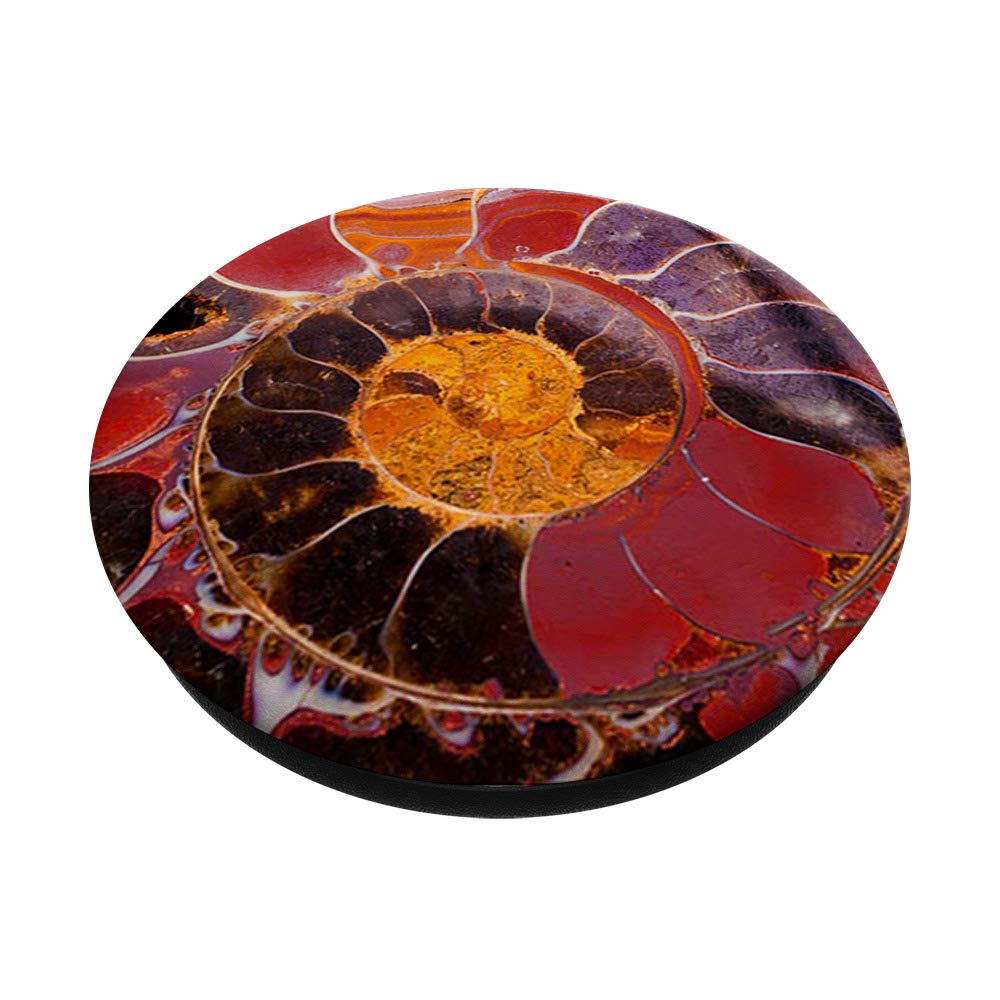 Black and Red Ammonite Fossil - Unique Gift for Fossil Collectors & Enthusiasts | Perfect for Home Decor, Geology Displays & Science Education