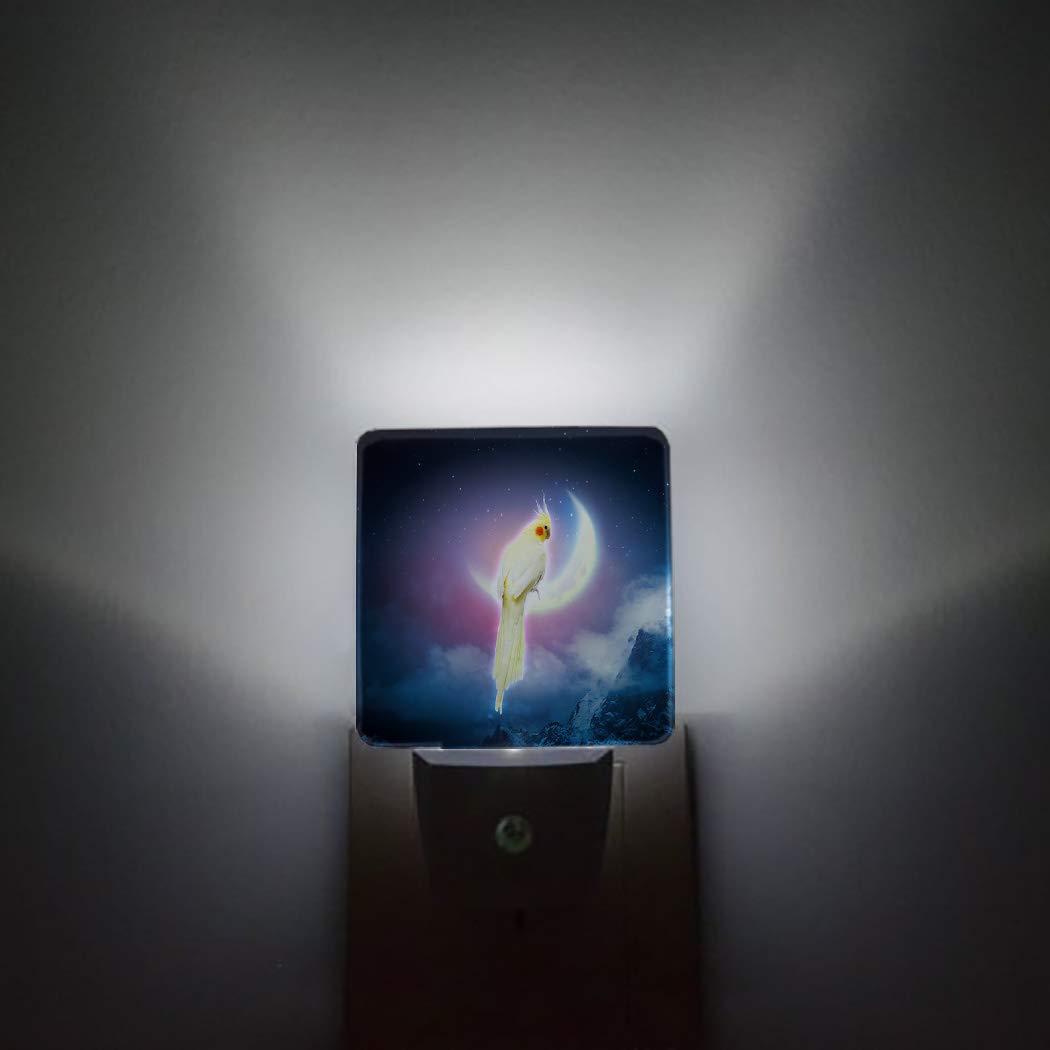 LED Night Light Plug in with Auto Sensor - Starry Sky Moon Parrot & Snow Mountain Design, Dimmable Square Nightlight for Kids, Girls, Bathroom, Bedroom, Hallway Decor | Perfect for Nursery, Kids Room & Safe Nighttime Navigation