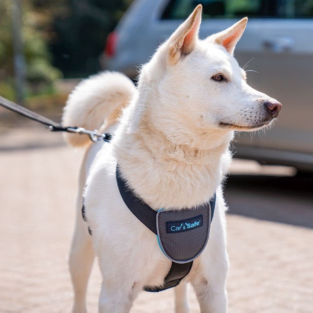 CarSafe Dog Travel Harness - Secure Pet Car Seat Belt for Small Medium Large Dogs, Crash Tested Safety Harness Meets Road Safety Laws & Insurance Requirements - Perfect for Road Trips, Vet Visits & Daily Commutes (Medium Size)