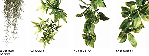 Exo Terra Small Plastic Terrarium Plant - Amapallo for Reptile Habitat & Terrarium Decoration - Perfect for Gecko, Frog, and Snake Enclosures