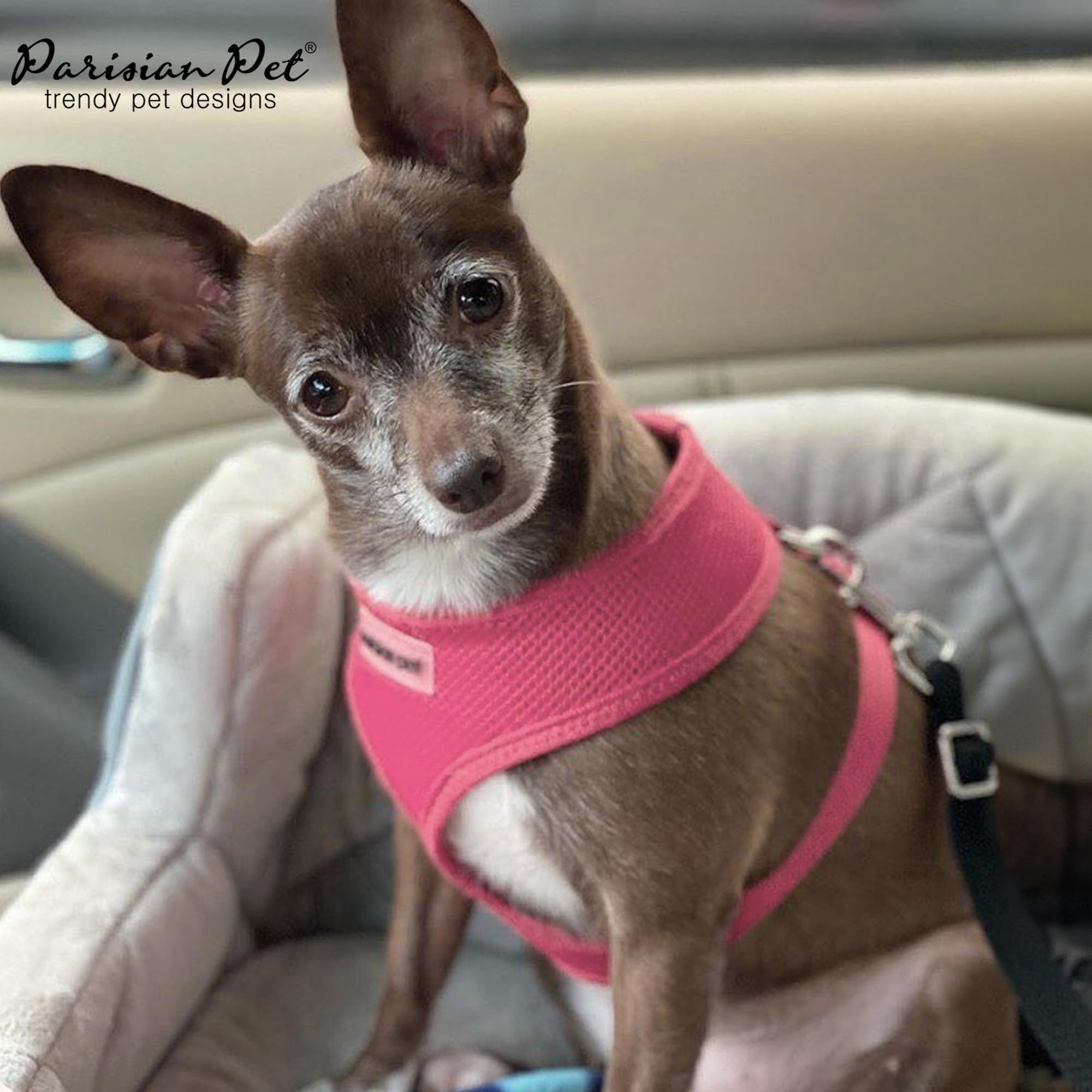 Parisian Pet Dog Harness - Adjustable Pink No-Pull Mesh Vest for Small Dogs | Breathable & Cooling Design for Walking, Running & Hiking | Puppy Harness Size S | Perfect for Outdoor Adventures & Daily Walks