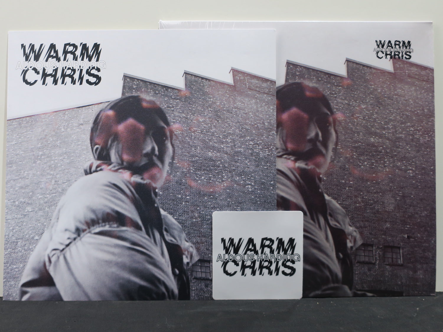 ALDOUS HARDING 'Warm Chris' Vinyl LP Record with Bonus Promo Print & Sticker - Limited Edition Collector's Item for Music Lovers & Vinyl Enthusiasts - Perfect for Home Listening, Gifts & Music Collections