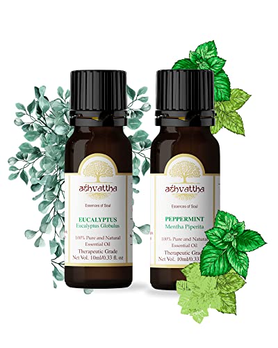 Eucalyptus & Peppermint