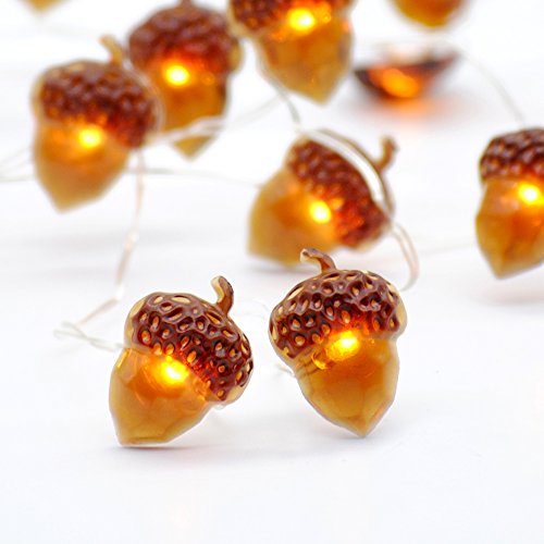 Acorn
