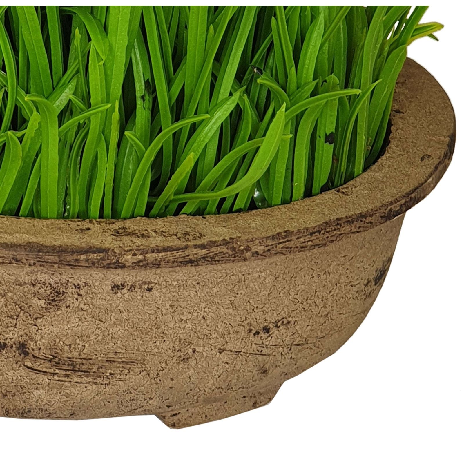 Premium 19cm Green Artificial Pot Plant by Criterion - Perfect for Home Decor, Office Spaces & Indoor Greenery