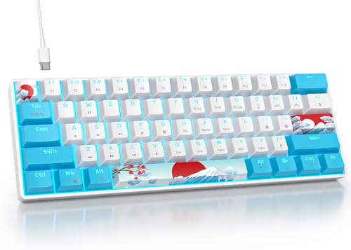 BlueWhite/Red Switch