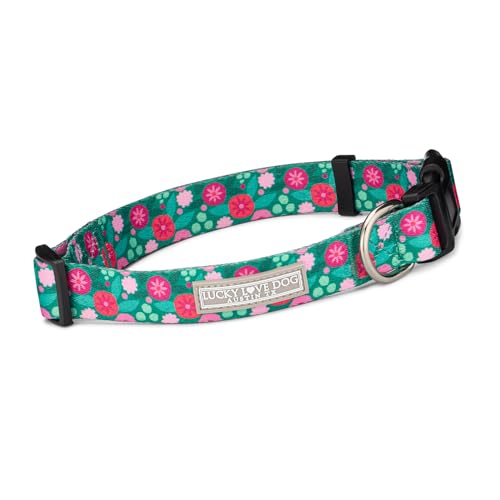 2024 Penny Collar