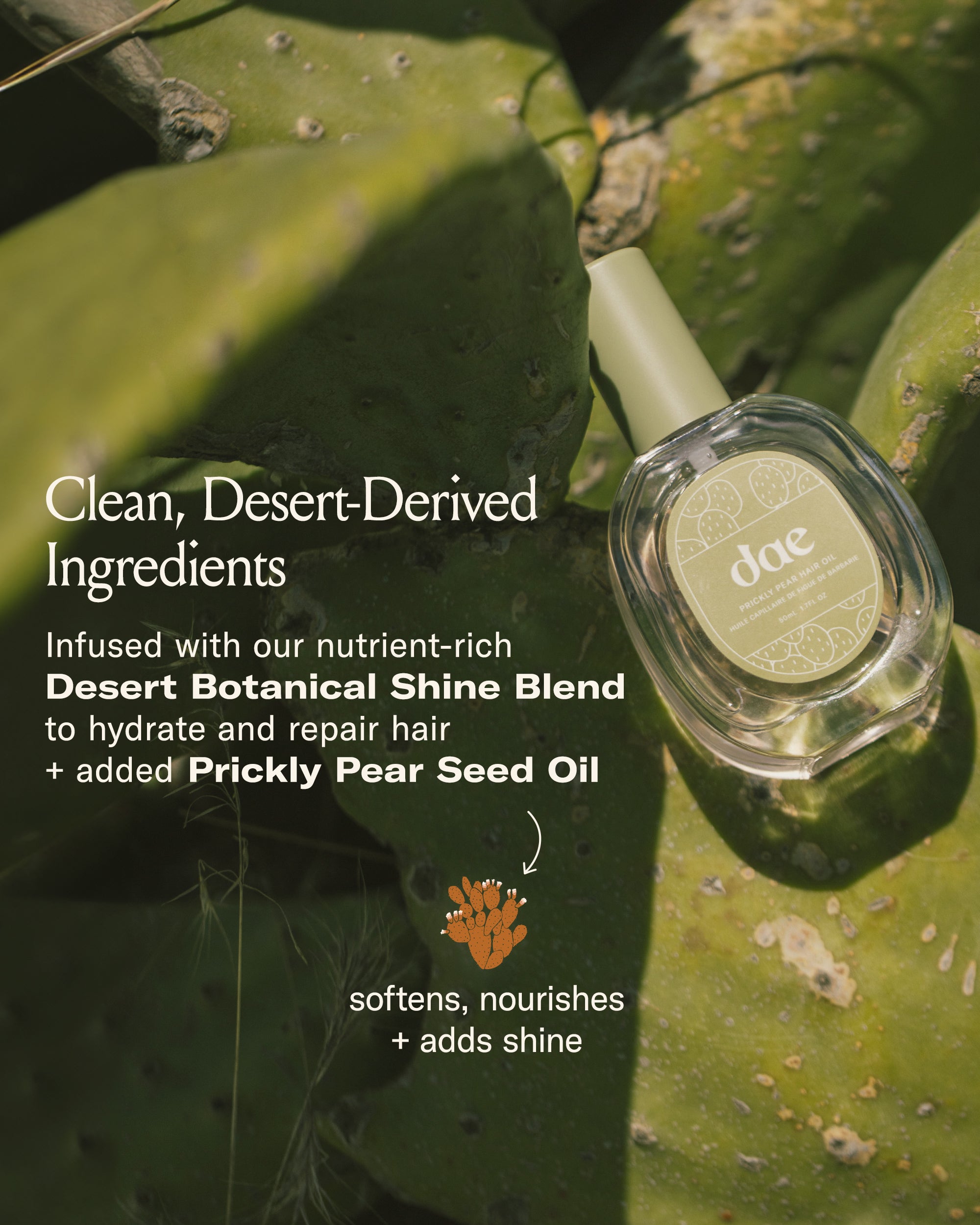 Organic Prickly Pear Hair Oil for Dry & Damaged Hair - Natural Nourishing & Repairing Treatment - Perfect for Daily Hydration & Split Ends - Salon-Quality Hair Care at Home
