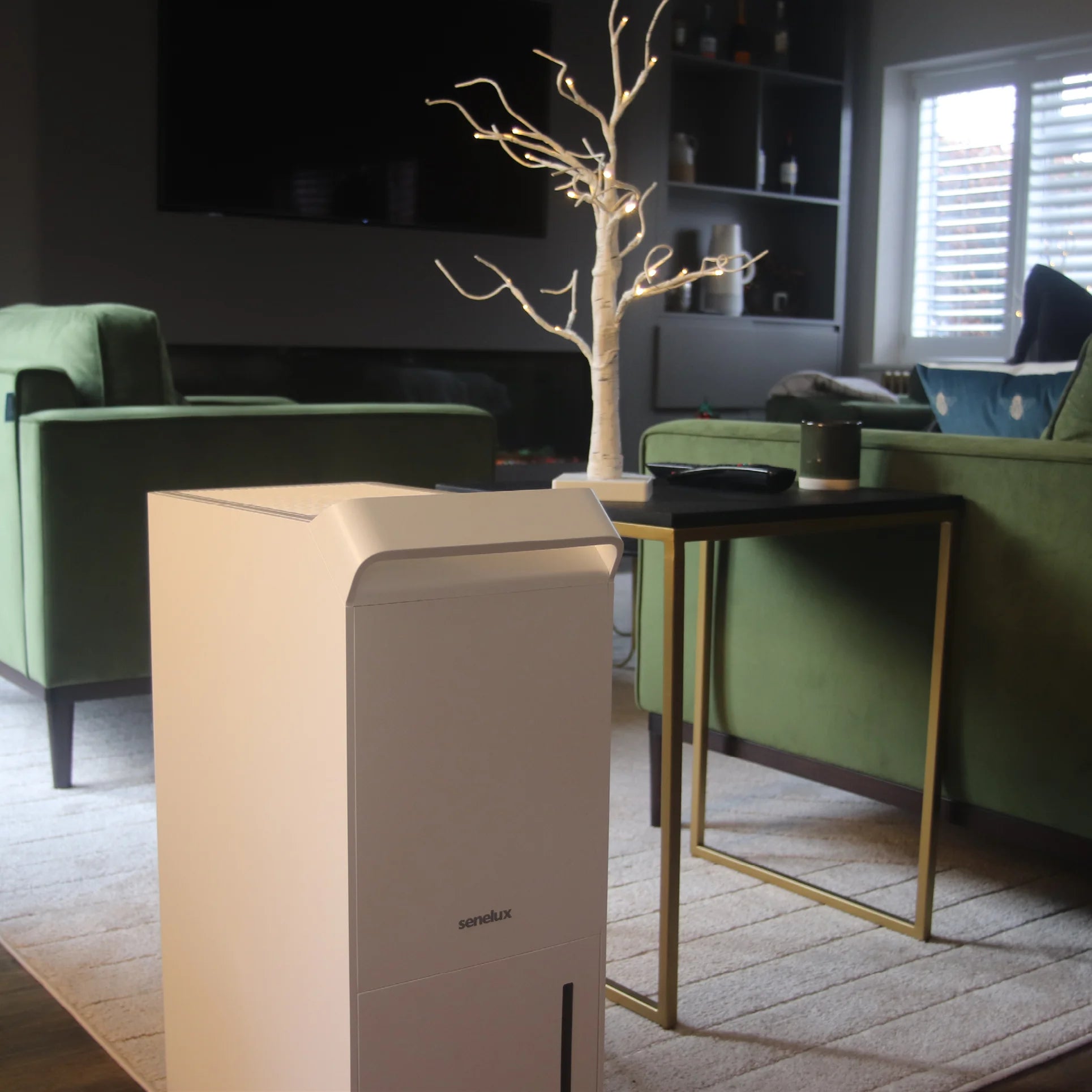 Senelux 25L/Day Smart WiFi Dehumidifier with 5.5L Water Tank - Large Room Moisture Control, Continuous Drainage, Sleep Mode & 24H Timer - Perfect for Basements, Bedrooms & Home Offices