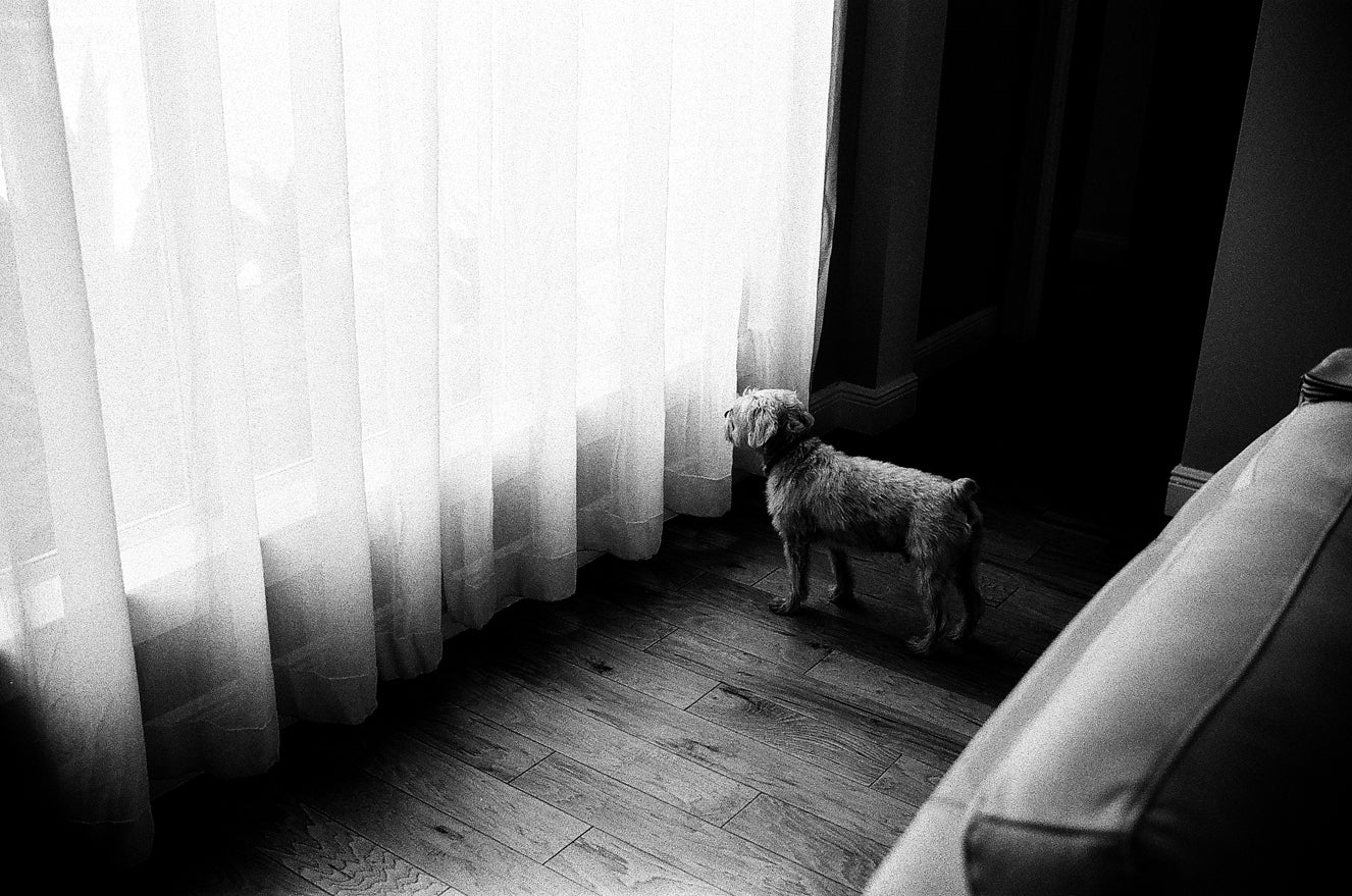 Ilford FP4 Plus Black and White Negative Film 35mm Roll Film, 36 Exposures – Perfect for Street Photography, Landscape & Portrait Shooting