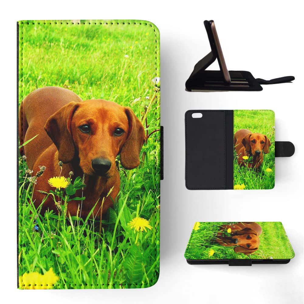 Dachshund Dog 10 FLIP Wallet Phone Case for Apple iPhone 6/6S - Stylish Protective Cover with Card Slots for Everyday Use