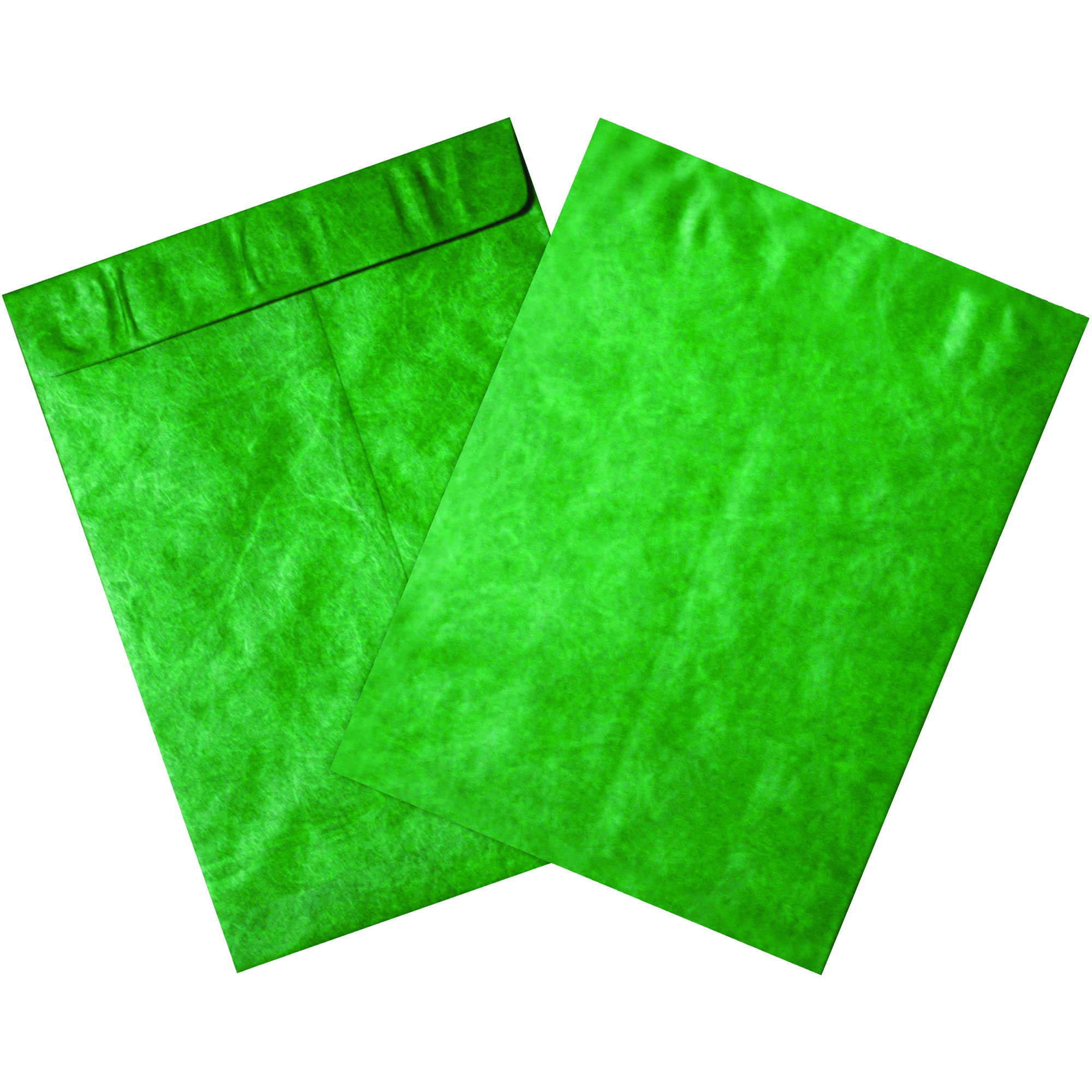 BOX USA TYVEK Self-Seal Flat Envelopes 10