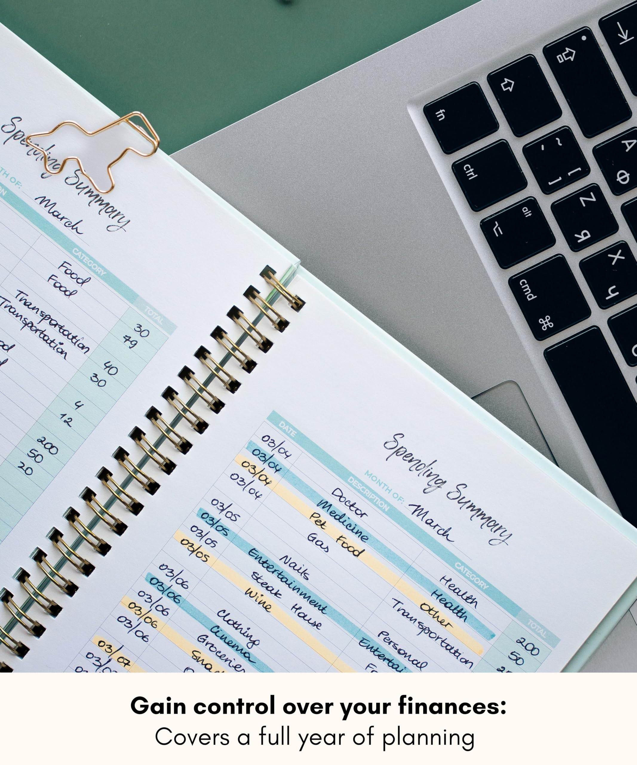 Lamare 12-Month Budget Planner & Bill Organizer - Financial Expense Tracker Notebook for Income, Debt & Business Expenses | Monthly Money Management for Personal Finance & Small Business