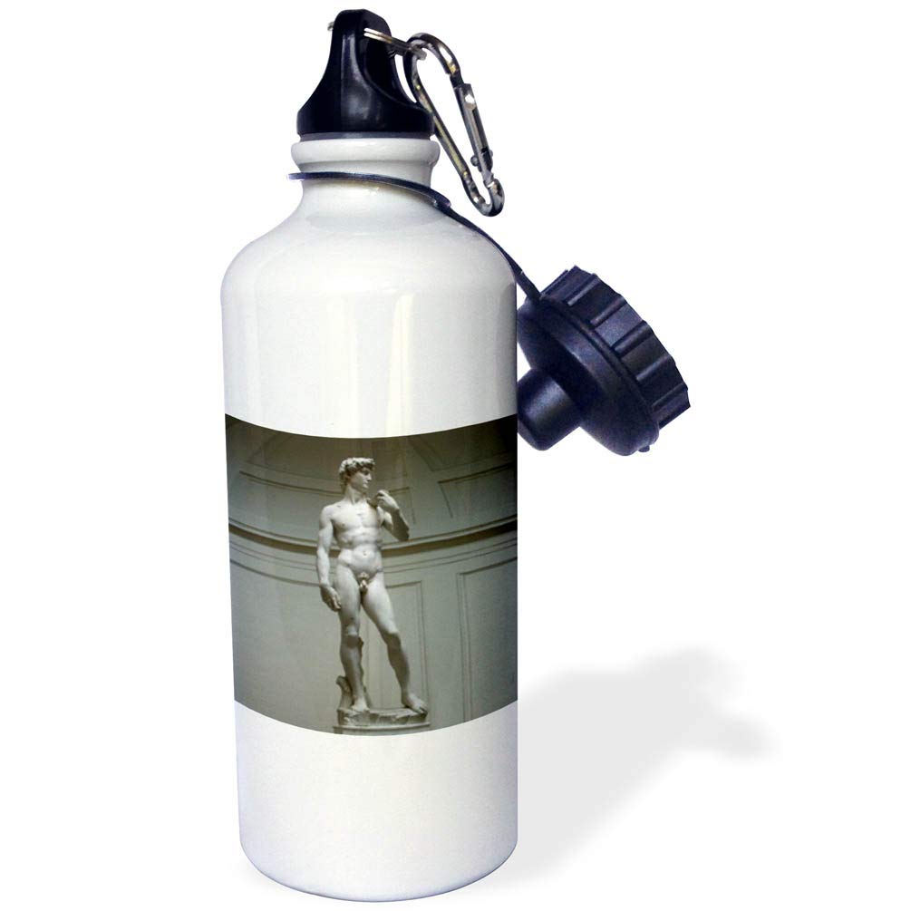 3D Rose Michelangelo's David Statue Sports Water Bottle - 21 oz White Insulated Water Bottle for Gym, Hiking & Outdoor Activities