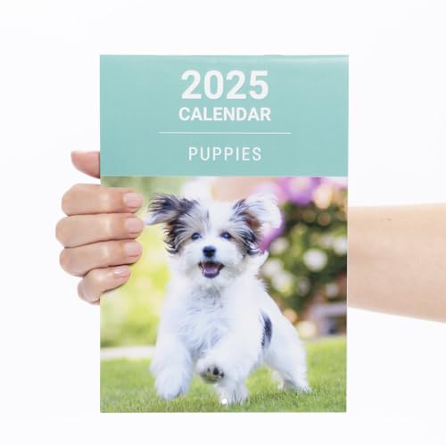 Puppies
