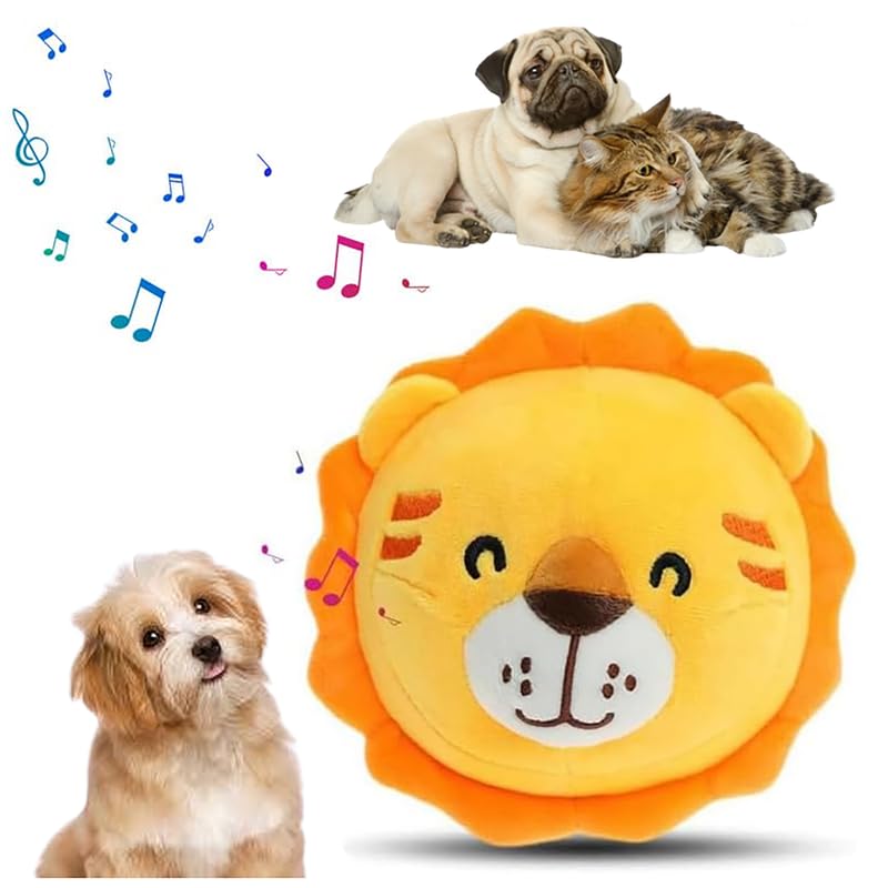 Lion-a