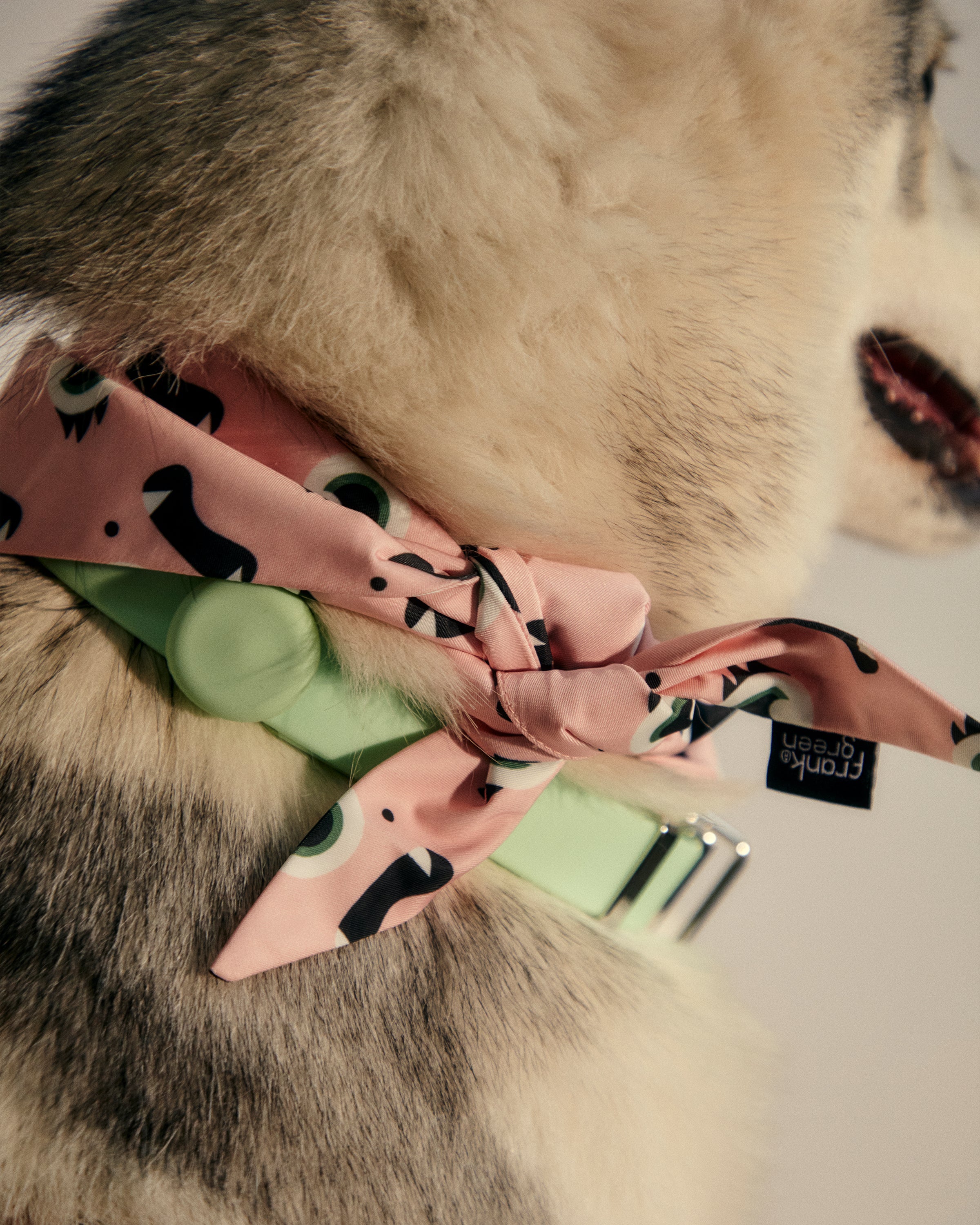 Stylish Pet Bandanas for Dogs & Cats - Soft & Comfortable Dog Bandana & Cat Scarf - Perfect for Holidays, Birthdays & Everyday Wear