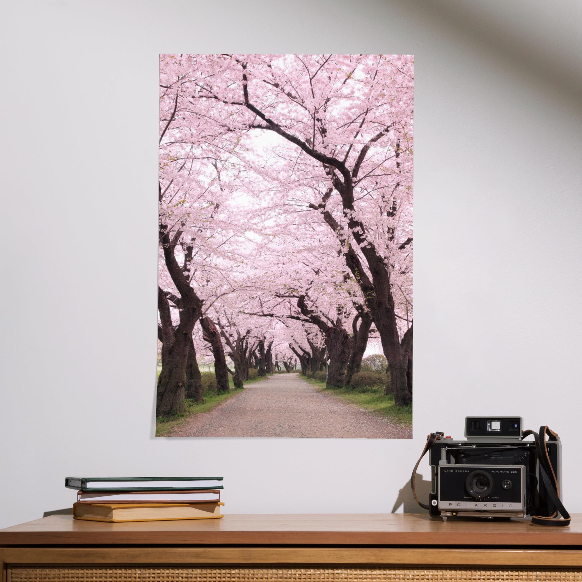 Lantern Press 16x24 Inch Cherry Blossom Giclee Art Print - Premium Wall Decor for Living Room, Bedroom & Office - Spring Floral Landscape Painting Home Decoration