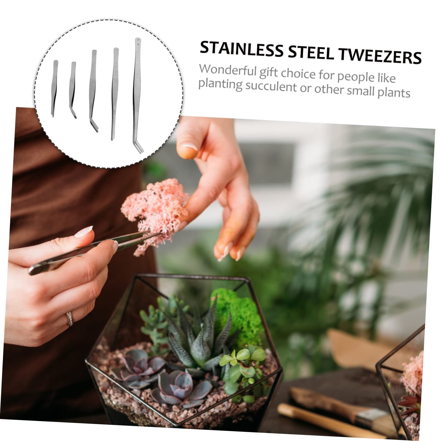 NOLITOY 10-Pack Stainless Steel Precision Tweezers for Gardening, Snake Feeding & Miniature DIY - Curved Tip Tongs for Planting, Reptile Care, Stamp Collecting & Craft Projects